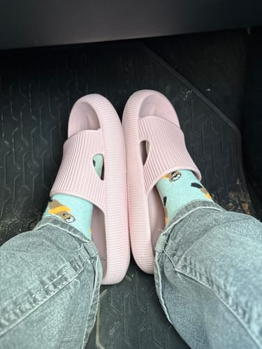 Review photo from Sofia G.
